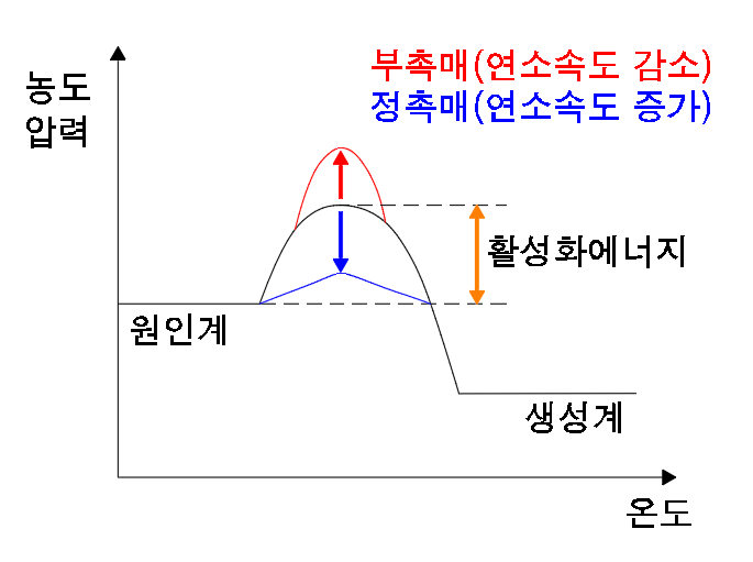 부촉매에 의한 활성화에너지 증가의 모습을 그래프로 표현
